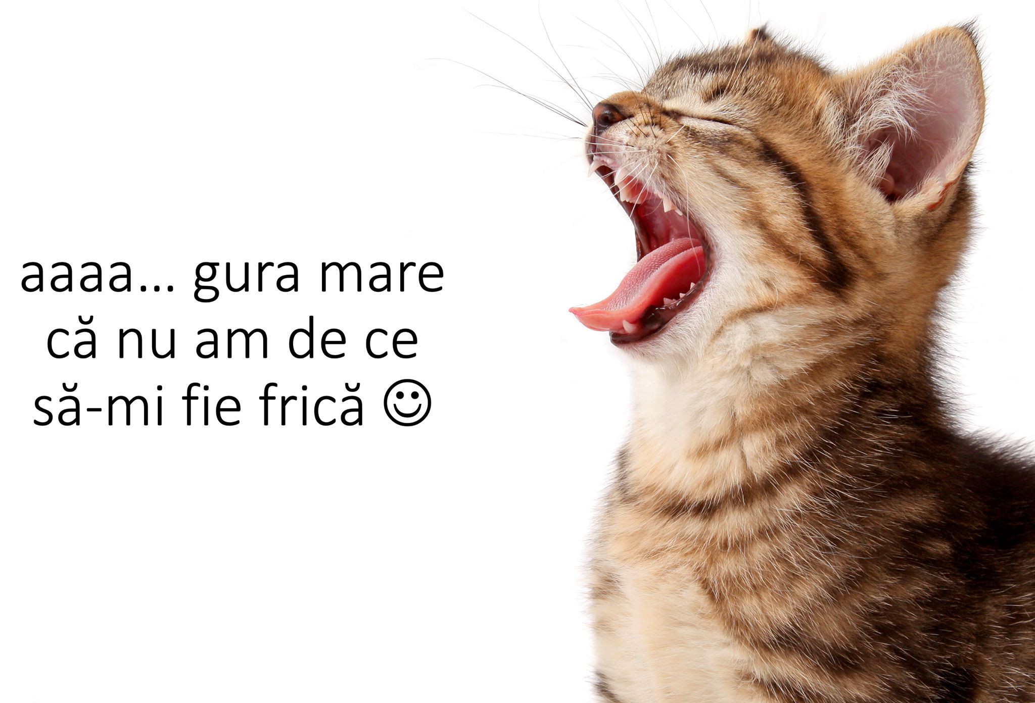 Stomatologul ne îndeamnă: „Fără teamă!"